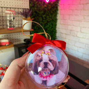 Bola de Natal Personalizada - Bolas Natalinas Personalizadas (1)